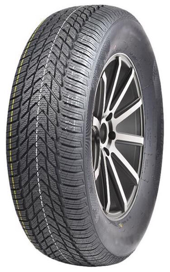 Шина Compasal Winterblazer Hp 205/55R16 91H