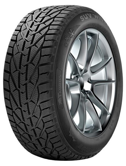 Шина Taurus Winter 205/55R16 91H