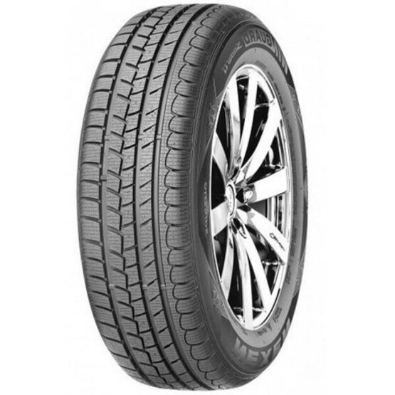 Шина Roadstone Eurovis Alpine Wh1 205/60R15 91T