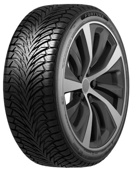 Шина Fortune Fitclime Fsr-401 205/50R17 93W